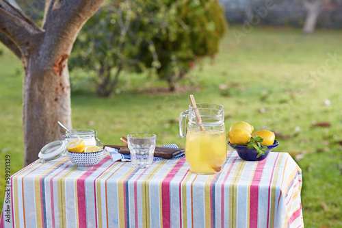 Photo: Preparing homemade lemonade in garden table Preparing homemade lemonade in garden table