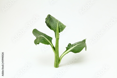 Photo: Vegetable Vegetable