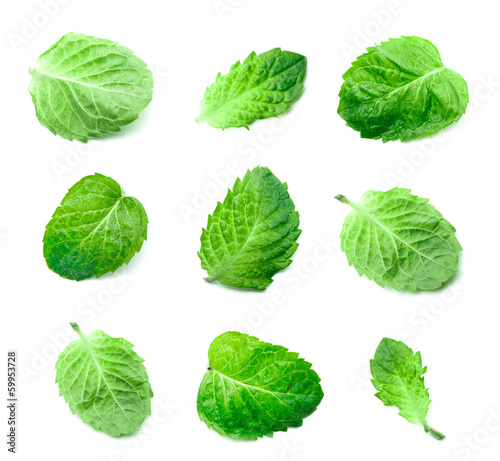 Photo: Mint Leaves Mint Leaves