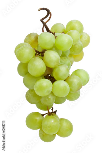Photo: Grapes Grapes