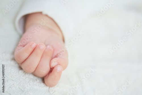 Photo: baby's hand baby's hand