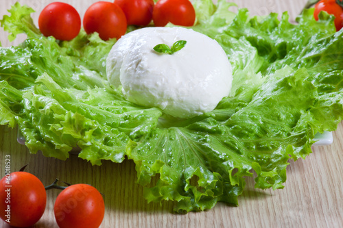 Photo: Mozzarella, salad and tomatoes Mozzarella, salad and tomatoes