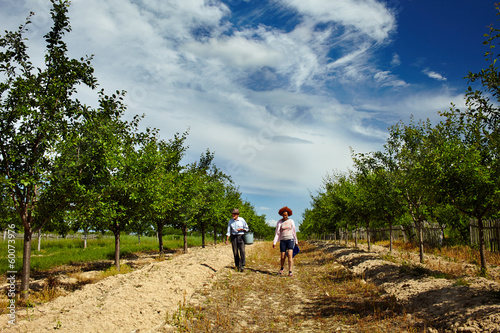 Photo: Farmers walking through orchard Farmers walking through orchard