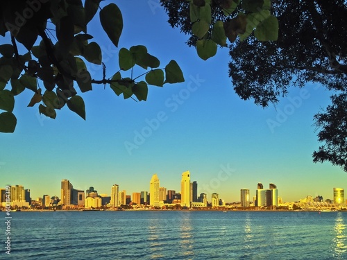 Instant Collection: San Diego Skyline from Bay View Park Coronado California USA San Diego Skyline from Bay View Park Coronado California USA