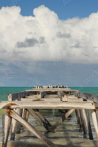 Photo: The jetty at Eucla telegraph station on the Nullarbor The jetty at Eucla telegraph station on the Nullarbor