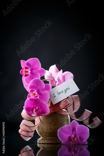 Photo: Phalaenopsis line with a declaration of love Phalaenopsis line with a declaration of love