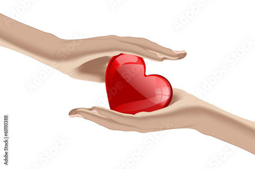 Vector: Heart in the human hands Heart in the human hands