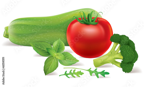 Vector: Zucchini, tomato, broccoli, arugula, basil Zucchini, tomato, broccoli, arugula, basil