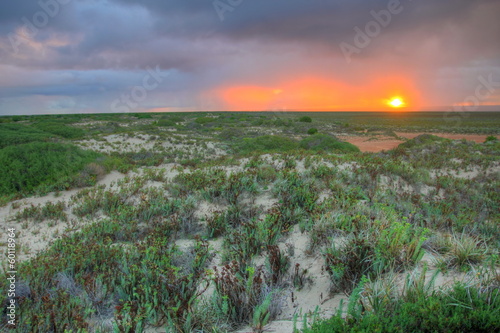 Photo: The Nullarbor sunsets in Australia The Nullarbor sunsets in Australia