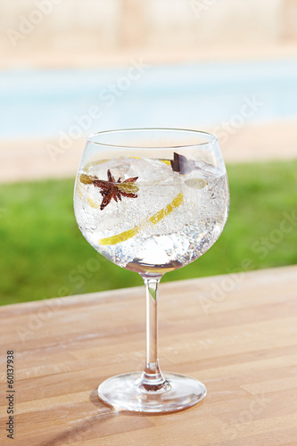 Photo: Star anise and cardamom gin and tonic cocktail by a pool outdoor Star anise and cardamom gin and tonic cocktail by a pool outdoor