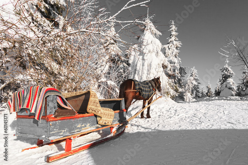 Photo: Horse and carriage in winter Carpathians Horse and carriage in winter Carpathians