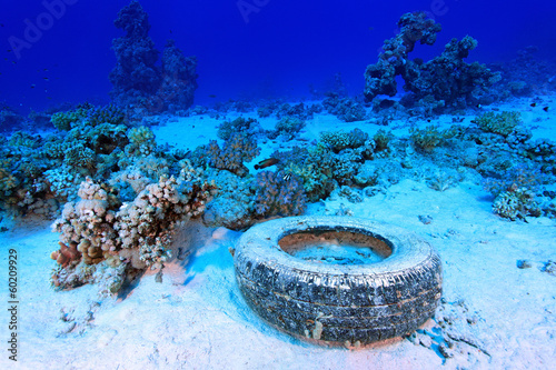 Fototapeta Marine pollution in the tropical reef of the red sea