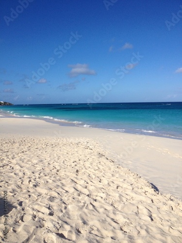 Instant Collection: island island