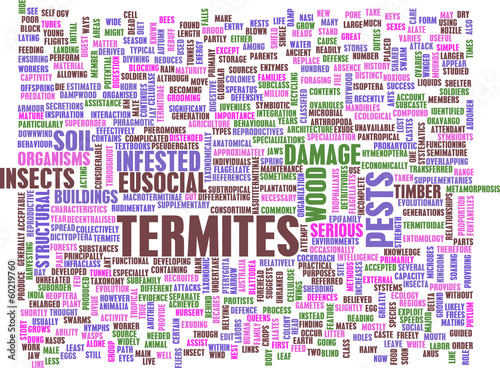 Illustration: Termites Termites