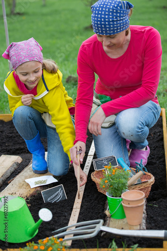 Photo: Gardening - sowing seeds to the soil Gardening - sowing seeds to the soil