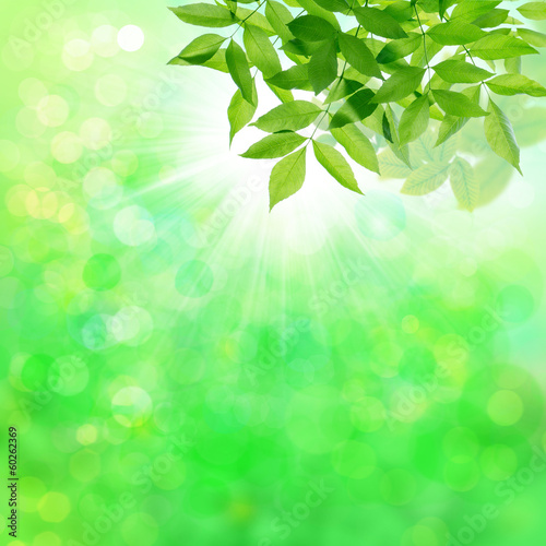 Photo: natur natur