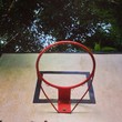 Wild Bascket Wild Bascket