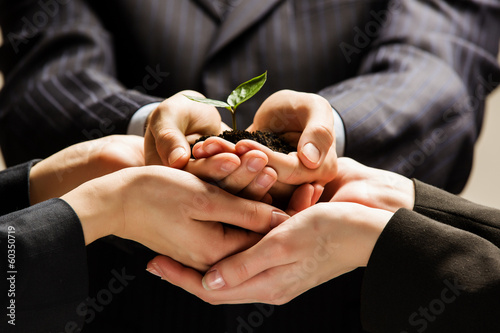 Photo: Sprout in hands Sprout in hands