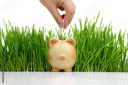 Photo: Hand deposit money in piggy bank with grass background Hand deposit money in piggy bank with grass background