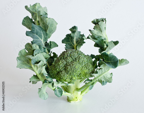 Photo: broccoli broccoli