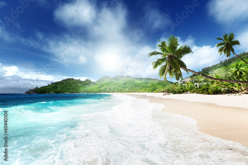 Photo: beach at Mahe island, Seychelles beach at Mahe island, Seychelles