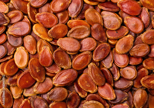 Photo: Dried red melon seed Dried red melon seed
