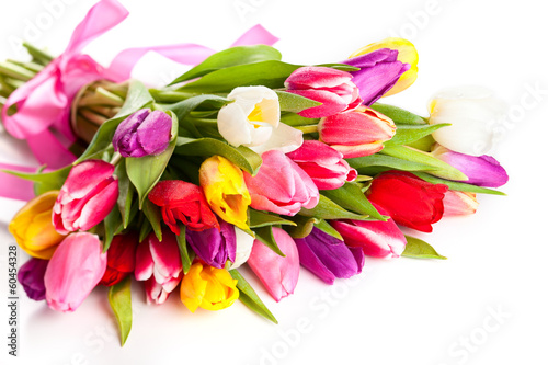 Photo: spring tulips spring tulips