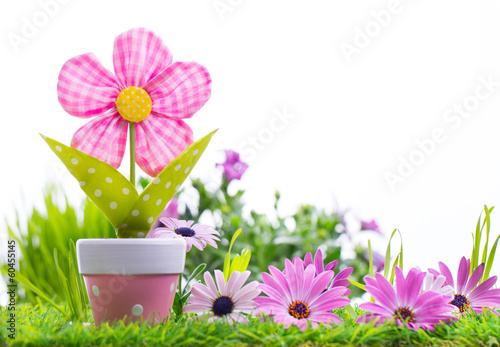 Photo: natur natur