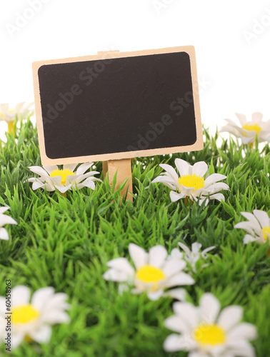 Photo: Frühlingswiese mit Schild Frühlingswiese mit Schild