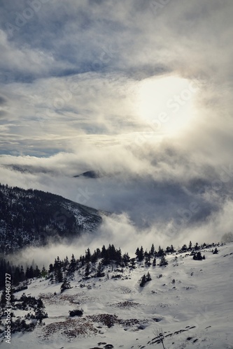Photo: Snowy country Snowy country