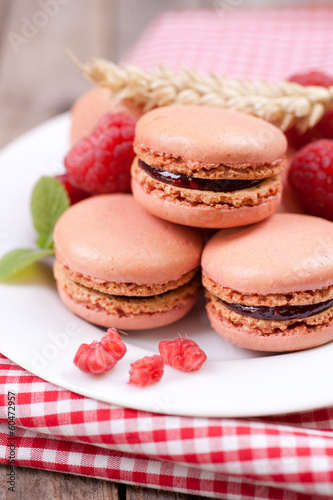 Photo: Macarons, Himbeeren Macarons, Himbeeren