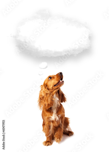 Photo: Cute dog with empty cloud bubble Cute dog with empty cloud bubble