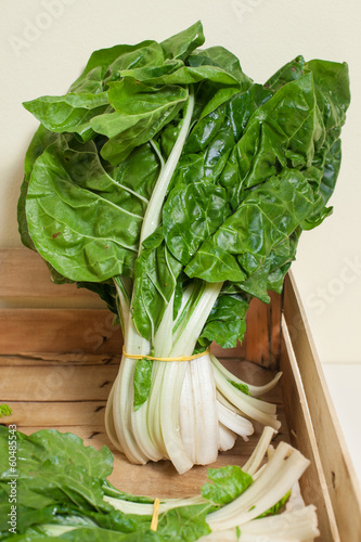 Photo: Swiss chard Swiss chard