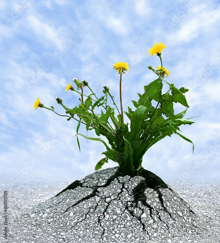 Photo: Never Give Up Never Give Up