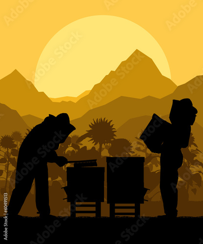 Vector: Beekeeper working in apiary vector background in sunflower field Beekeeper working in apiary vector background in sunflower field