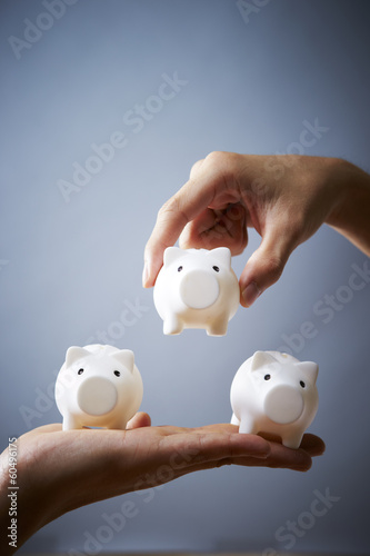 Photo: Piggy bank Piggy bank