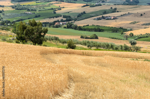 Photo: Campagna Campagna