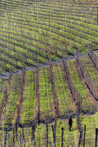 Photo: Langhe Langhe
