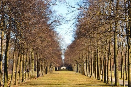 Instant Collection: Wandeln im Park Wandeln im Park