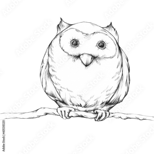 Illustration: Illustration einer Eule Illustration einer Eule