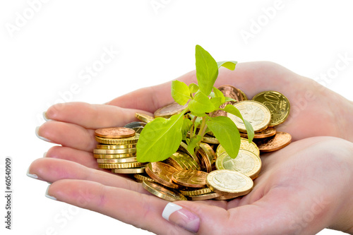 Photo: Geld und Pflanze. Symbolfoto Sparen Geld und Pflanze. Symbolfoto Sparen