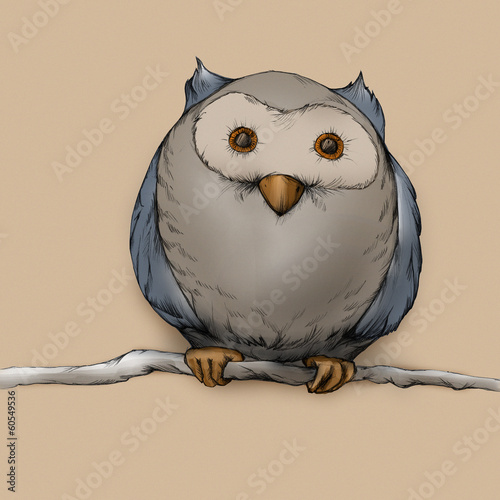 Illustration: Illustration einer Eule Illustration einer Eule