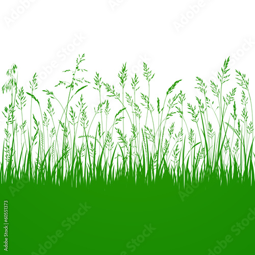 Bilder und Videos suchen grashalme