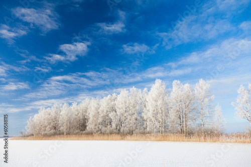 Photo: Winter park in snow Winter park in snow