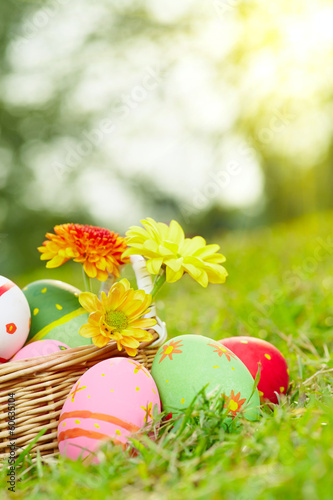 Photo: Eggs and flowers c Eggs and flowers c