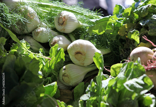 Photo: farmers market fennel farmers market fennel