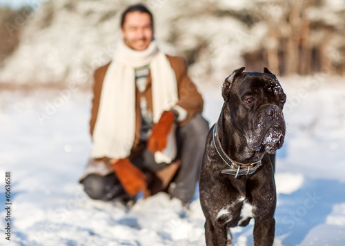 Photo: man and dog play in the woods man and dog play in the woods