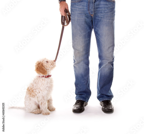 Photo: Herrchen mit Hund an der Leine Herrchen mit Hund an der Leine
