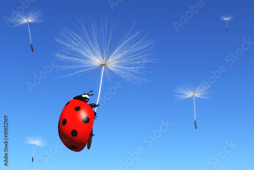 Illustration: Floret carries a ladybug Floret carries a ladybug