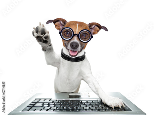 Photo: silly computer dog silly computer dog